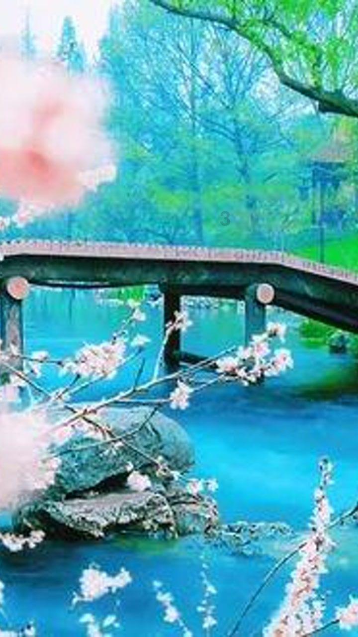 八十四分之六十五和十四分之十三谁大？游戏画面